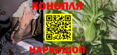 прущие грибы Малгобек