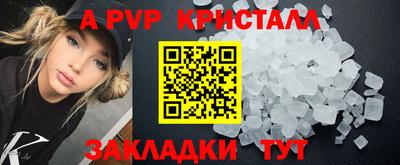 прущие грибы Малгобек